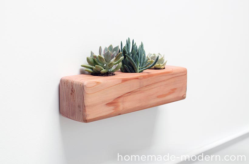 HomeMade Modern DIY EP71 Succulent Planter Options