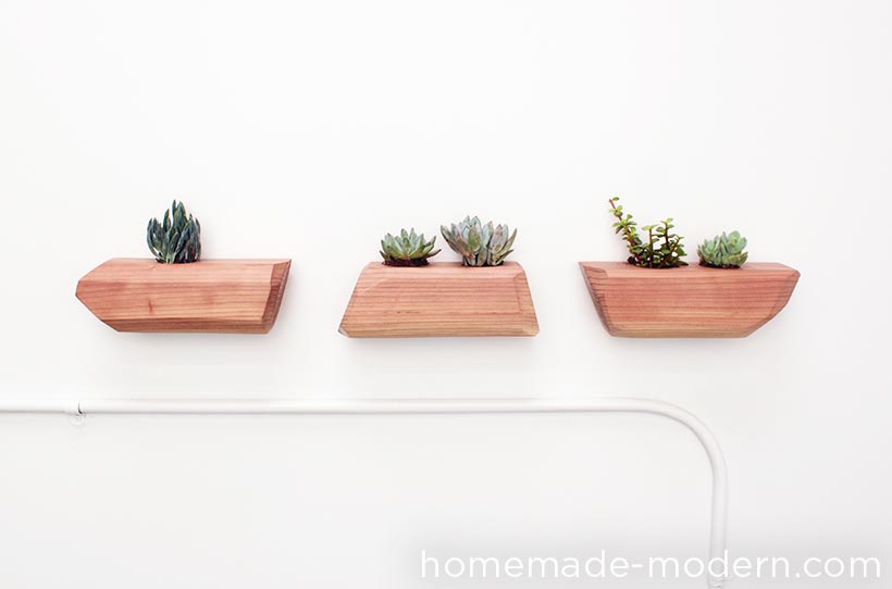 HomeMade Modern DIY EP71 Succulent Planter Options